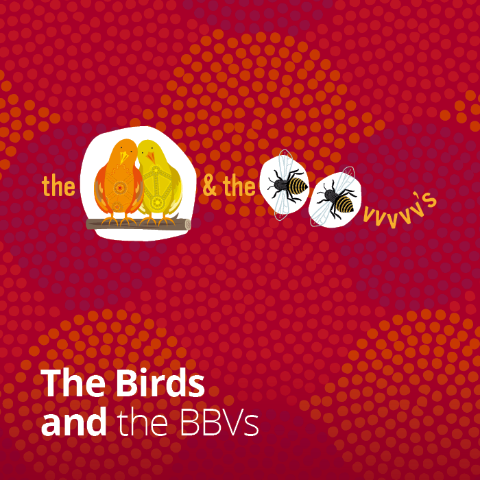 The Birds and the BBVs